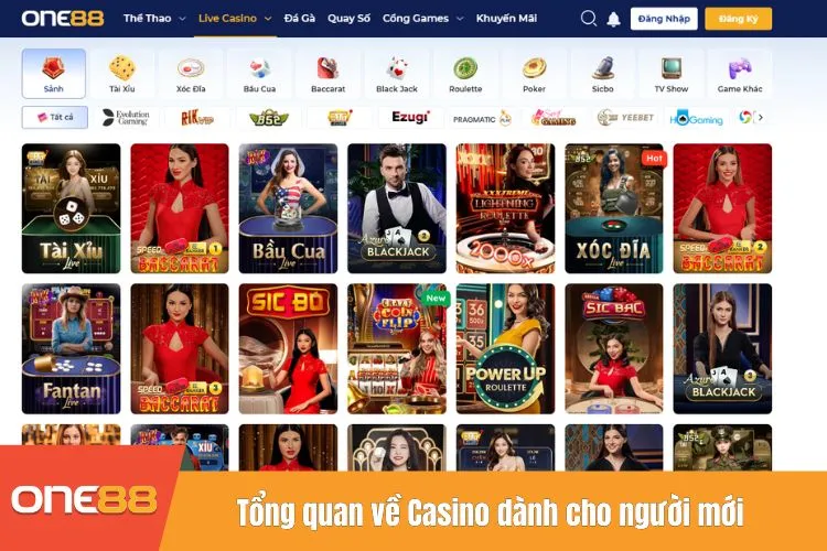 Tổng quan về Casino dành cho người mới